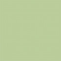Falcon background 2,75x11m, tropical green (13) (opened package)