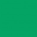 Falcon Eyes Background Paper 46 Chroma Green 2.18 x11 m