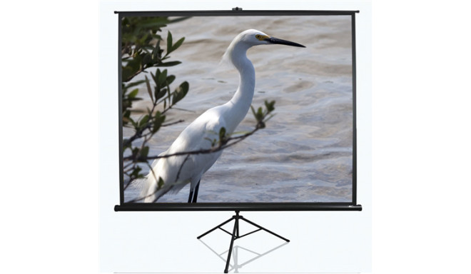 Elite Screens | Tripod Series | T120UWV1 | Diagonal 120 " | 4:3 | Viewable screen width (W) 244 cm |