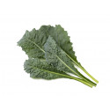 Click & Grow Smart Refill Italian Kale 3pcs