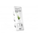 Click & Grow Smart Refill Ornam.Grass3tk