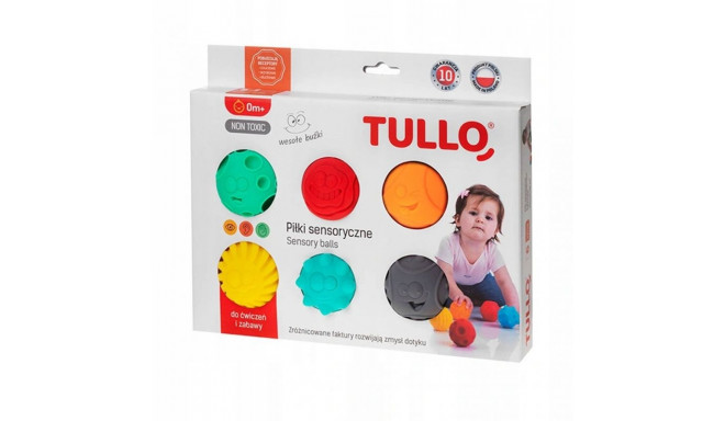 Arendav mänguasi lastele sensoorsed pallid AM Tullo 6 tk