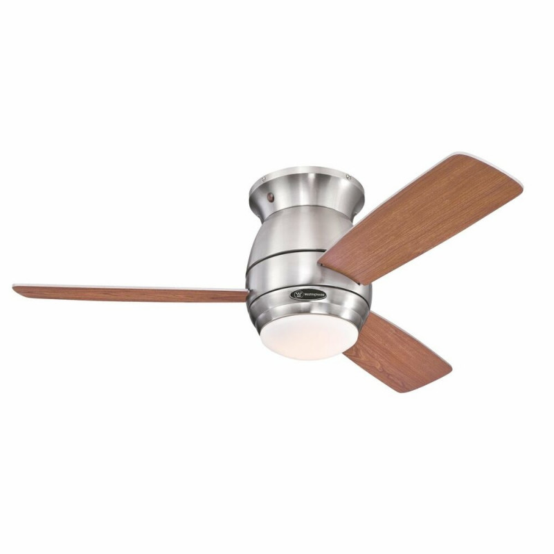 fan with ceiling light