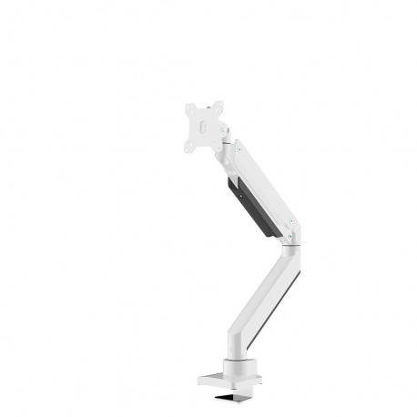 Neomounts monitori lauakinnitus 10-49", valge