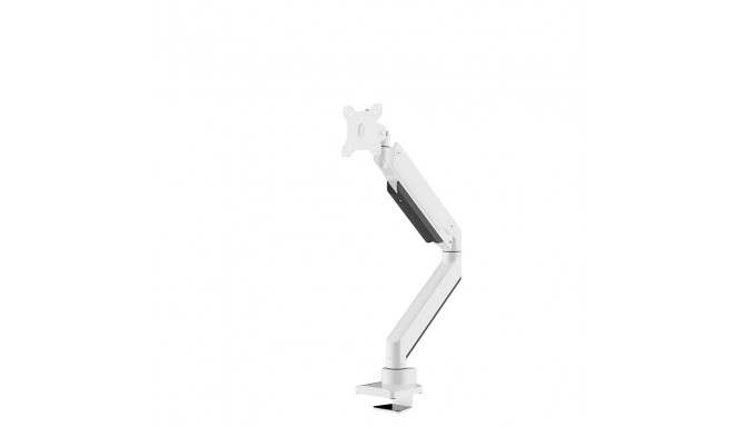 Neomounts monitor desk mount 10-49", white