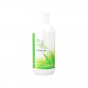 Niisutav piim Idema Aloe vera (500 ml)