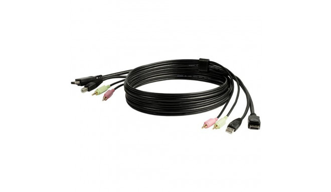 KVM Lüliti Startech DP4N1USB6