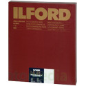 ILFORD MULTIGRADE WARMTONE 44M 24,0X30,5 50 SH.