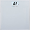 Blaupunkt scale BSP301