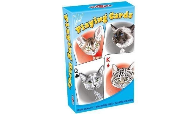 Karykatury Kotów karty do gry