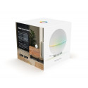 Athom Homey Pro Wired & Wireless White