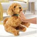MOJI Interactive toy Labradoodle - Russian version