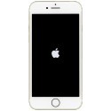 Apple iPhone 7              32GB Gold                   MN902ZD/A