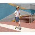 Segway Ninebot eKickscooter ZING C10, grey