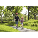 Segway Ninebot eKickscooter ZING C10, grey