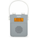 TechniSat Digitradio 30 Portable Digital Grey