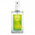 Dezodorants Weleda Citrus (100 ml)