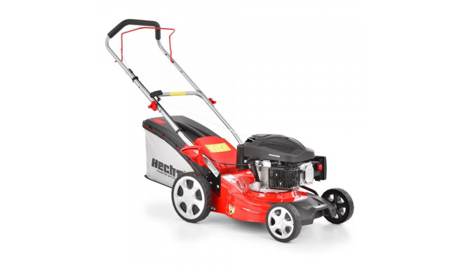 Muruniiduk HECHT 543