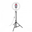 CELLY RING PROFESSIONAL TRIPOD WITH LIGHT