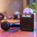 MI-MIC speaker with microphone Mini Karaoke, TY6149