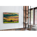 Samsung GU65AU8079UXZG