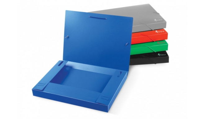 Folder-case with rubbers Forpus, A4 / 30 mm, plastic, blue