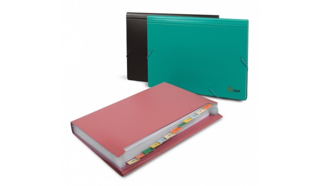 File folder with erasers Forpus, A4, plastic, green, 12 compartments