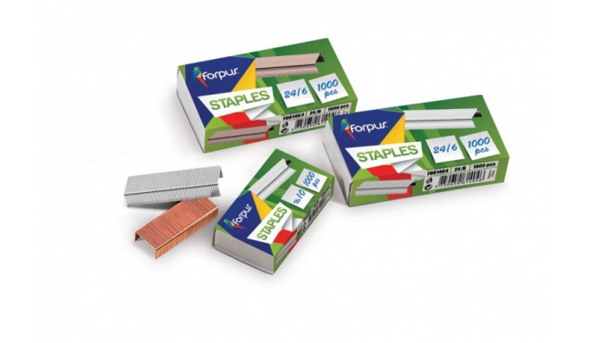 Staples Forpus, 6.24, variuotos (1000) 1103-003