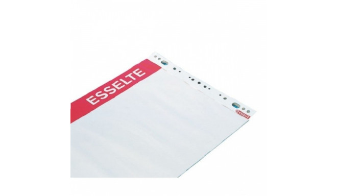 Pad for conferences Esselte, 59x80 cm, 60 g white (50) 0715-008