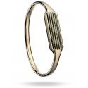 Fitbit bangle Flex 2 L, gold