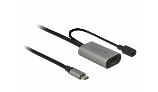 Delock Active USB 3.1 Gen 1 extension cable USB Type-C™ 5 m