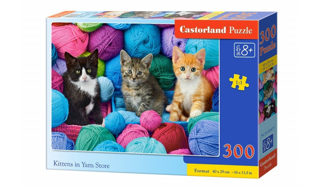 Castorland puzzle Kittens in Yarn 300pcs