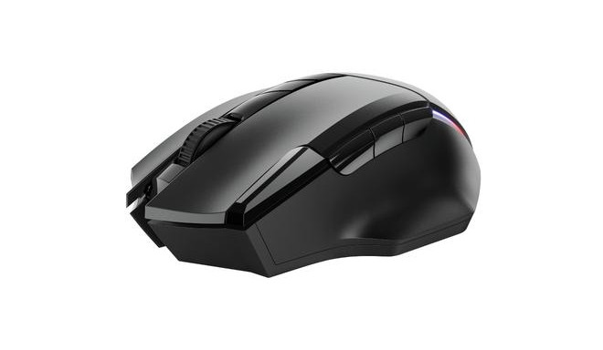 Trust GXT 131 Ranoo mouse Right-hand RF Wireless Optical 4800 DPI