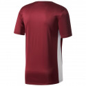 Adidas ENTRADA 18 Jr CD8430 T-SHIRT