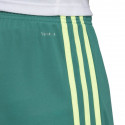 Adidas M Tastigo 19 Shorts DP3251 shorts