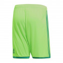 Adidas Regista 18 Short M CF9598