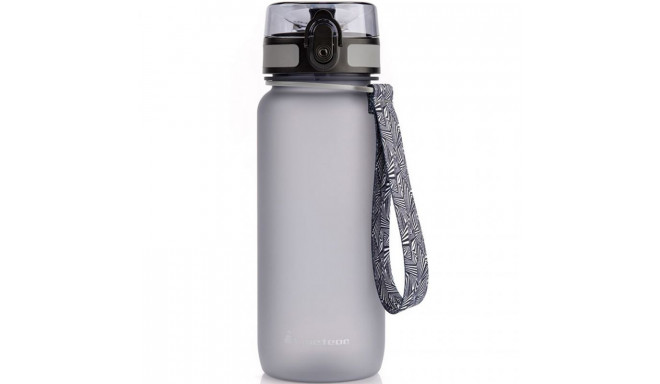 Meteor 650 ml 74576 water bottle