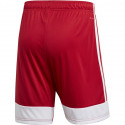 Adidas Tastigo 19 Shorts M DP3681 shorts (S)