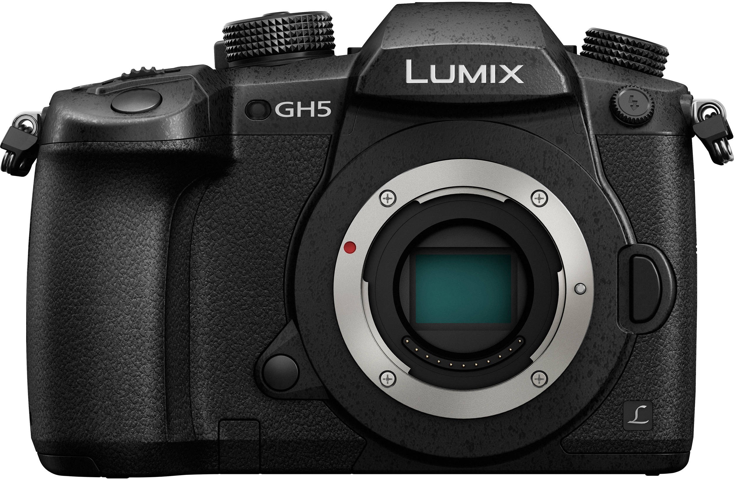 PANASONIC DC-GH5EG-K