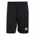 Adidas Tiro 21 Training M GN2157 shorts (M)