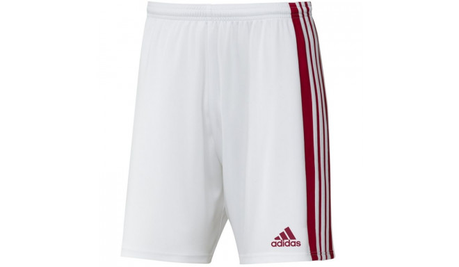 Adidas Squadra 21 Short M GN5770 (L)