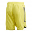 Adidas Condivo 20 M FI4578 shorts (S (173cm))