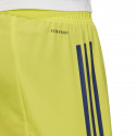 Adidas Condivo 20 M FI4578 shorts (S (173cm))