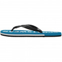 4F Flip-Flops M H4L21-KLM006 33S (41)