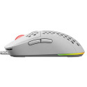 Savio HEX-R mouse USB Type-A 12000 DPI