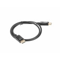 DisplayPort Kaabel Lanberg CA-DPDP-10CC-0010-BK