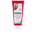 KLORANE COLOR ENHANCING conditioner with pomegranate 200 ml