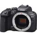 Canon EOS R10 body + adapter EF-EOS R