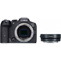 Canon EOS R7 body + adapter EF-EOS R