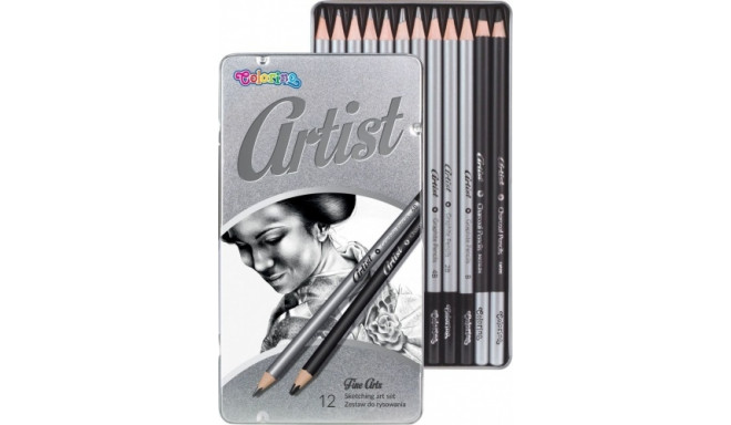 Colorino Artist Sketching art set 12 pcs